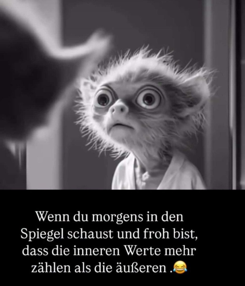 Guten Morgen☕️☀️🦋