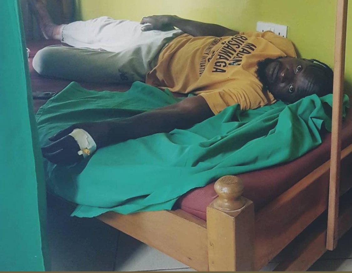 Baboon Forest Entertainment tweet media