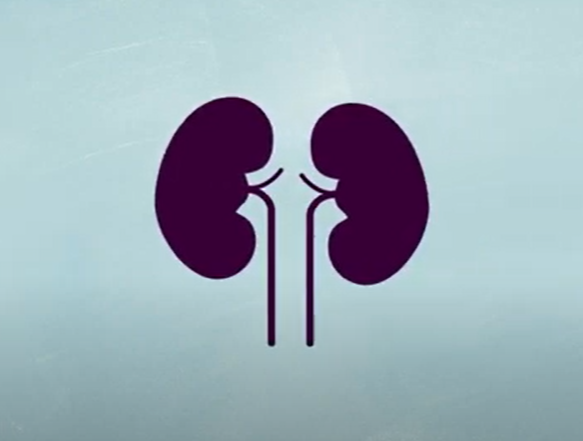 🔸Czy przeszczepy narządów można uznać za metodę leczenia cukrzycy? Jakie mają ograniczenia i kto powinien je rozważać?
diabetyk.org.pl/przeszczep-trz…