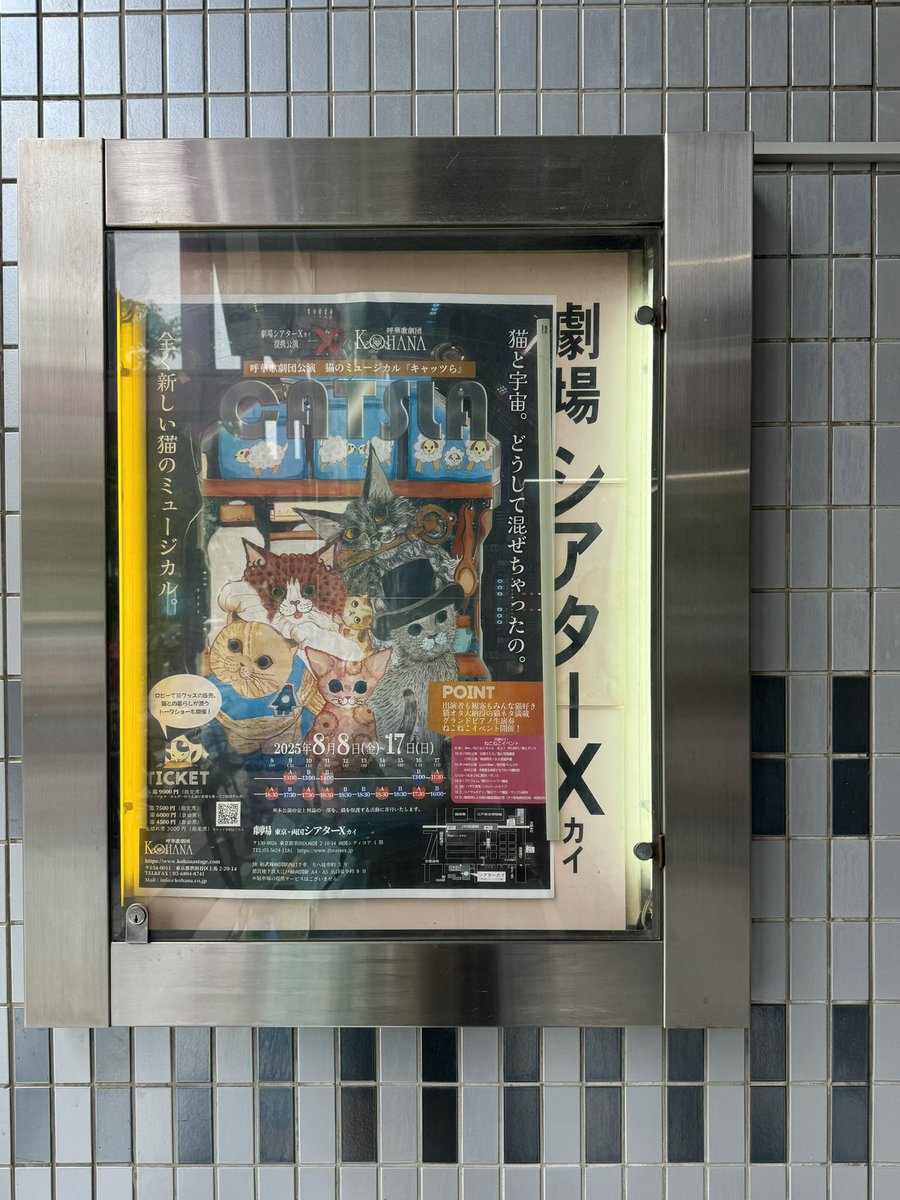 __sop_ne's tweet photo. 呼華歌劇団『CATsLa』
10日間全15公演、無事に終演いたしました！

とても楽しいにゃん生でした！🐾

ご観劇いただいたお客さま、
公演を支えてくださったスタッフの方々。
そして、温かくて優しい座組の皆さま。

本当にありがとうございました！✨

AﾗｸﾞBﾏﾝﾁ／鈴木ねね

#キャッツら 
#CATsLa https://t.co/f2RqB4oX1W