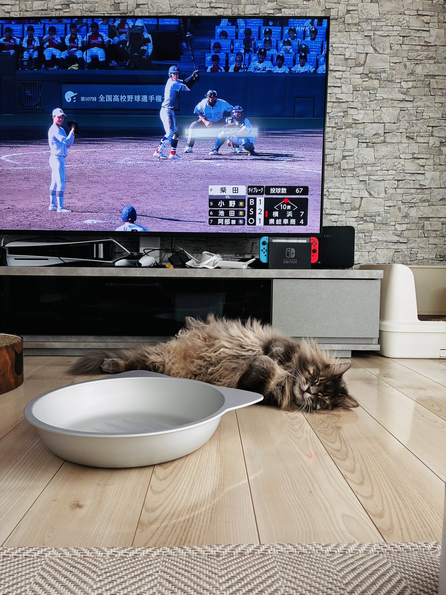 m3_mgmg's tweet photo. 2025年　甲子園にハマった夏
実質決勝と言っても過言ではない試合、いい試合でしたが俺の夏は終わった…⚾️
ナイスゲーム https://t.co/wXm0j7Q98v