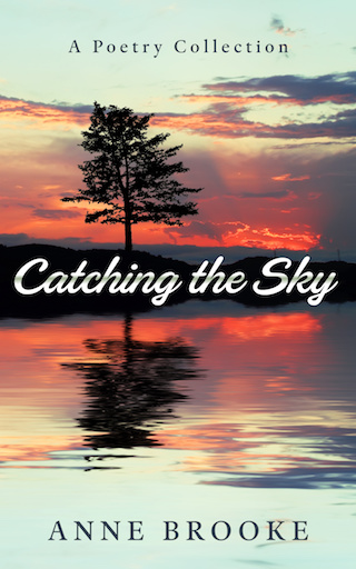 You can hear me reading the first 3 poems from my collection Catching The Sky at my website! 

Discover once more the small joys of life 😍 

Catching The Sky: annebrooke.com/catching-the-s…

#booktwitter #poetryreading #poems