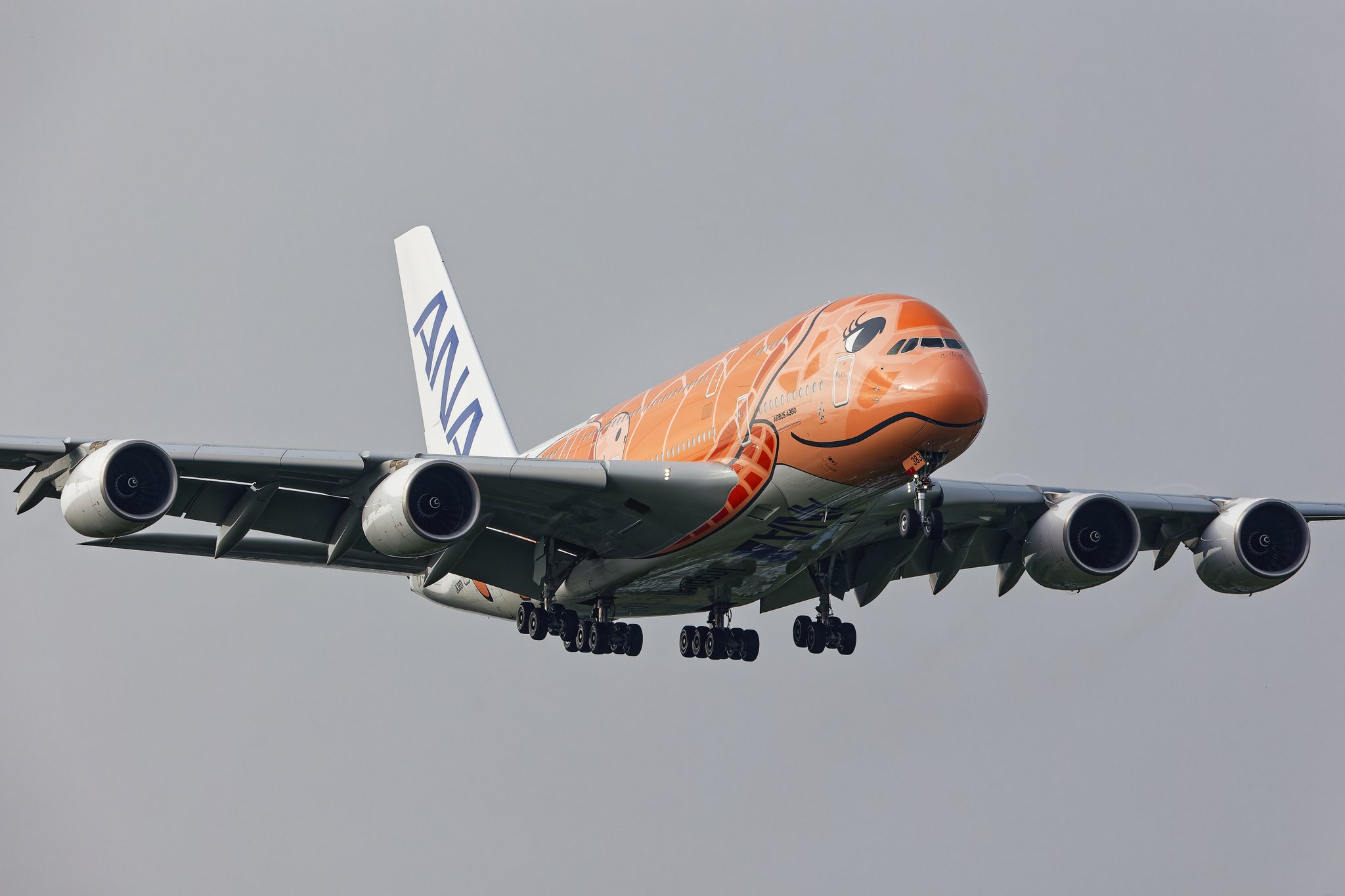 航空写真集 かぜさん on X: 