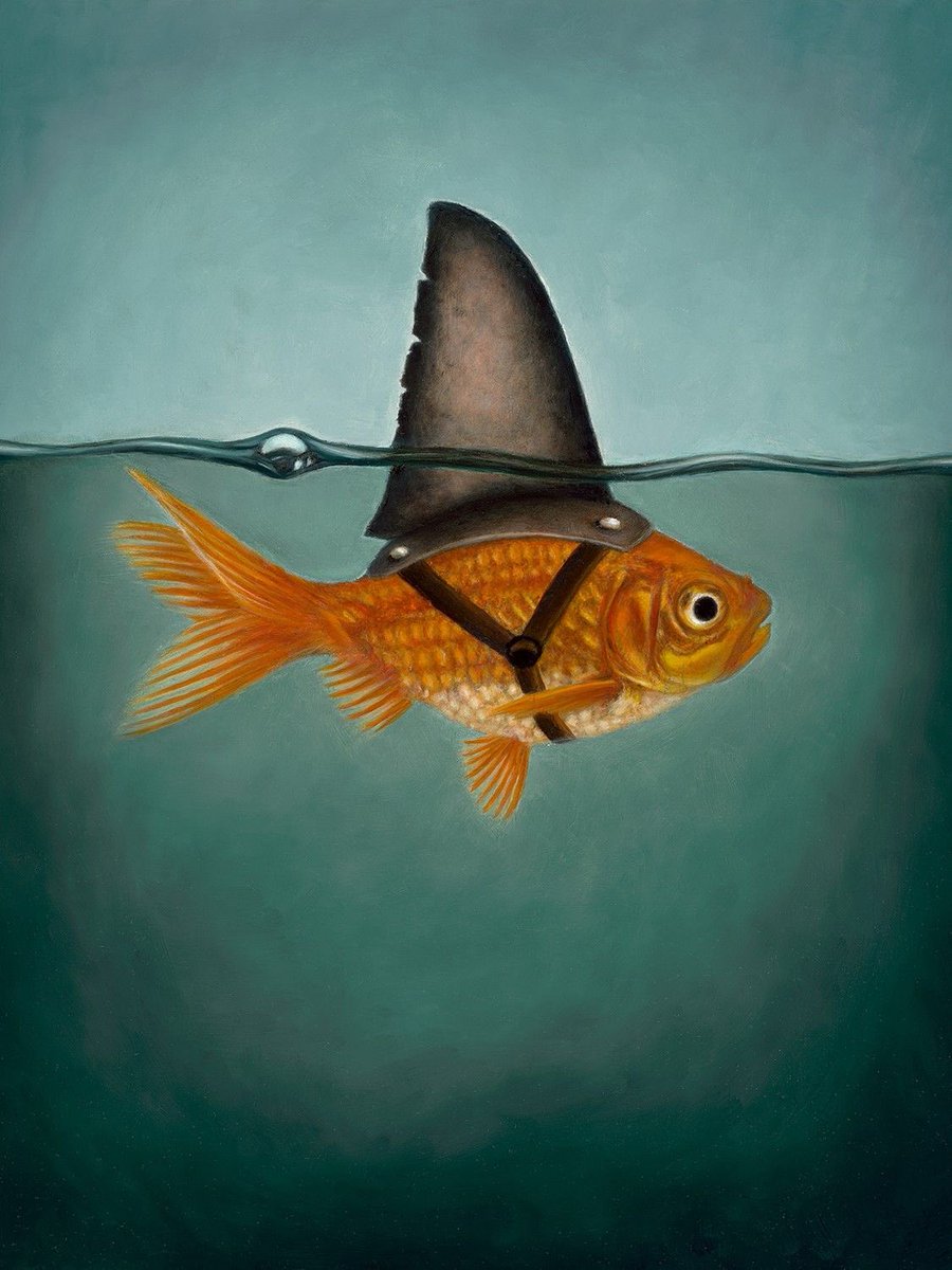 Wannart (@wannartcom) on Twitter photo 