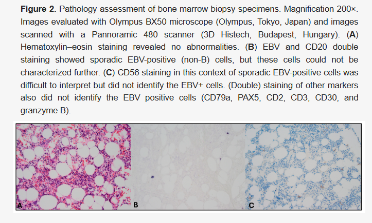 Check out our newly published article! 📖💡

"A Drop of #blood to Lead the Way"

🔗Full text: mdpi.com/2038-8330/17/4…