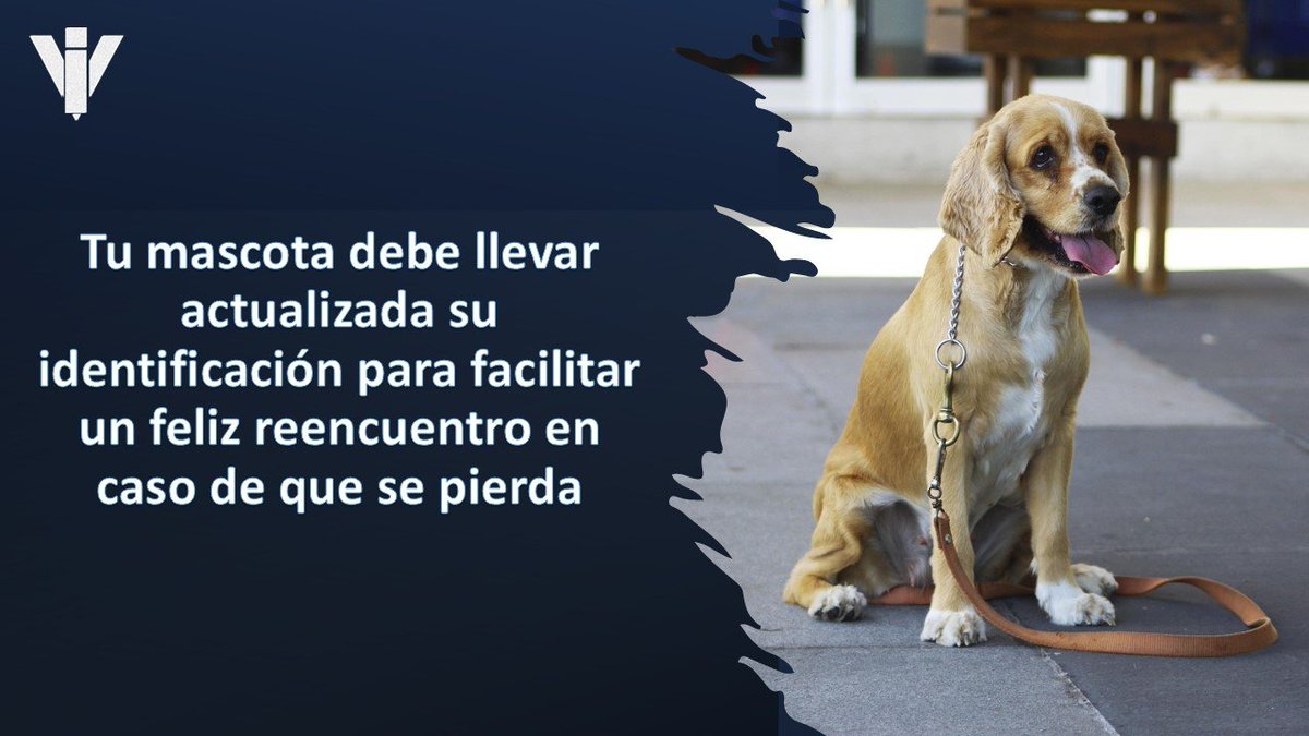 veterindustria's tweet photo. Ahora en #verano pasamos más tiempo con nuestro #perro en el campo y en la calle y hay más riesgo de que pueda perderse. ¿El microchip de tu #mascota está actualizado?
#TenenciaResponsable
#EresResponsable
#BienestarAnimal https://t.co/ZLXZjwmwLX