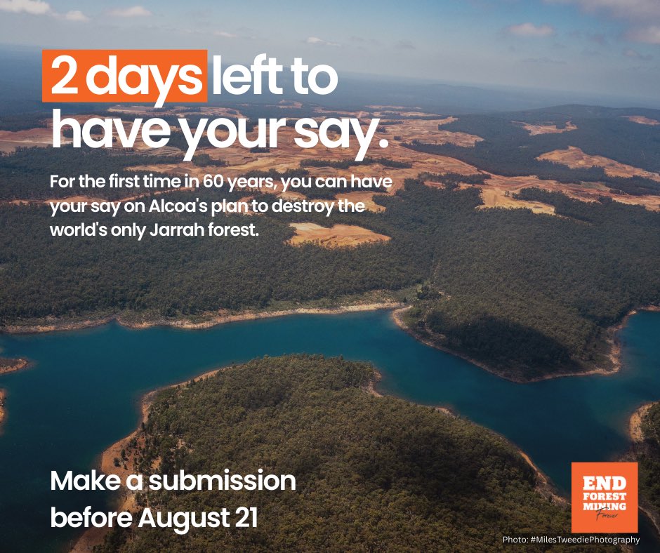 WA Forest Alliance tweet media