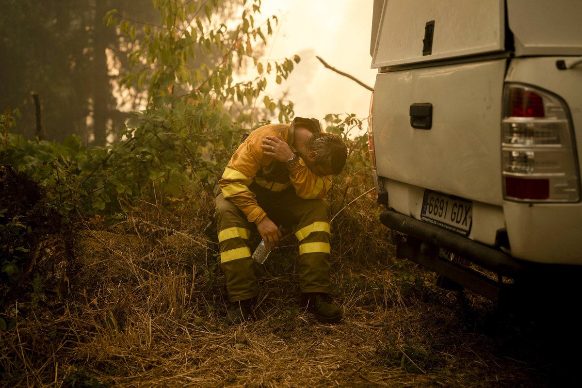 Cobraba más la Jessi sin ir a currar que cualquier bombero que se está jugando los bigotes .
Hay que quemar la Moncloa con toda la banda de Sanchone.