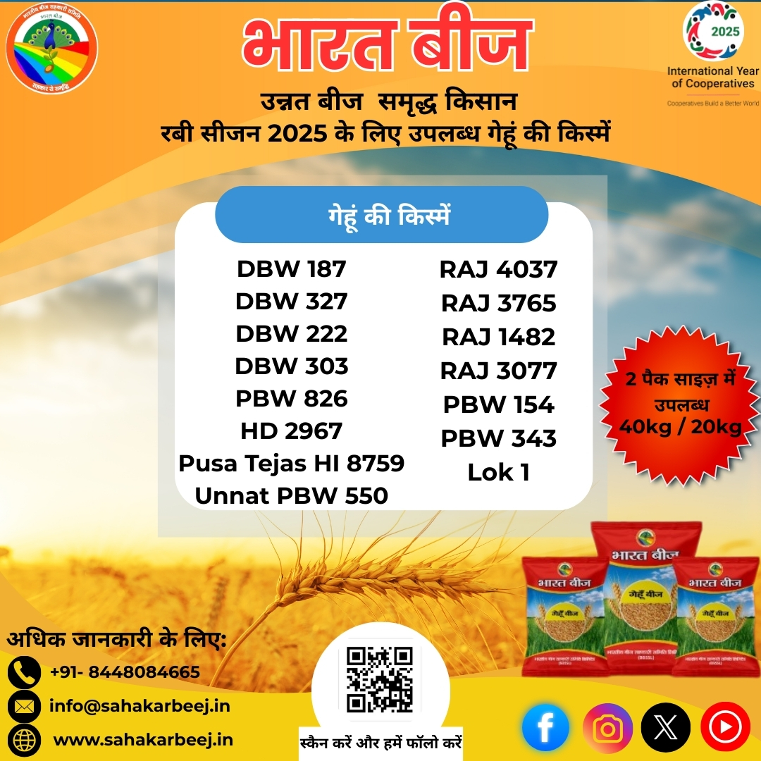 bharatiyabeej's tweet image. भारतीय बीज सहकारी समिति लिमिटेड (BBSSL) के द्वारा 
रबी सीजन-2025 के लिए उपलब्ध गेहूं की किस्में:
 
#bbssl 
#SahkarSeSamriddhi 
#bharatbeej 
#rabiseason 
#WheatVarieties 
#unnatbeejsamriddhkisaan