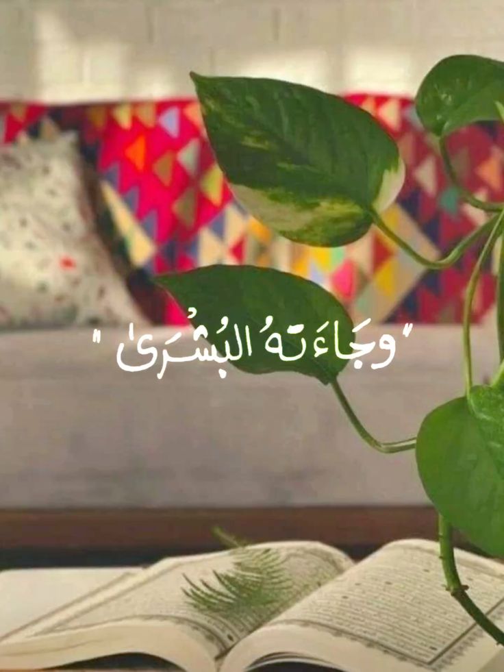 motm2na_'s tweet photo. وَجَاءَتْهُ الْبُشْرَىٰ❤️.. https://t.co/BUZsHz9l22