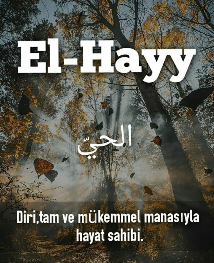 Naime H (@naimeh123) on Twitter photo 