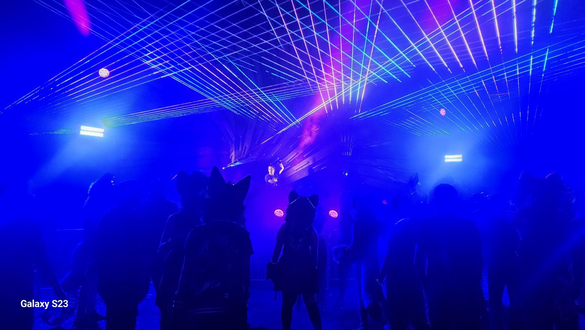 KitCat /\\\ tweet media