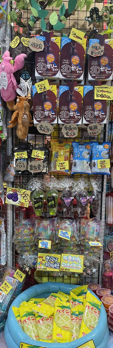 なーつのおーわーりー🎵
お盆終わったけどまだまだ夏です