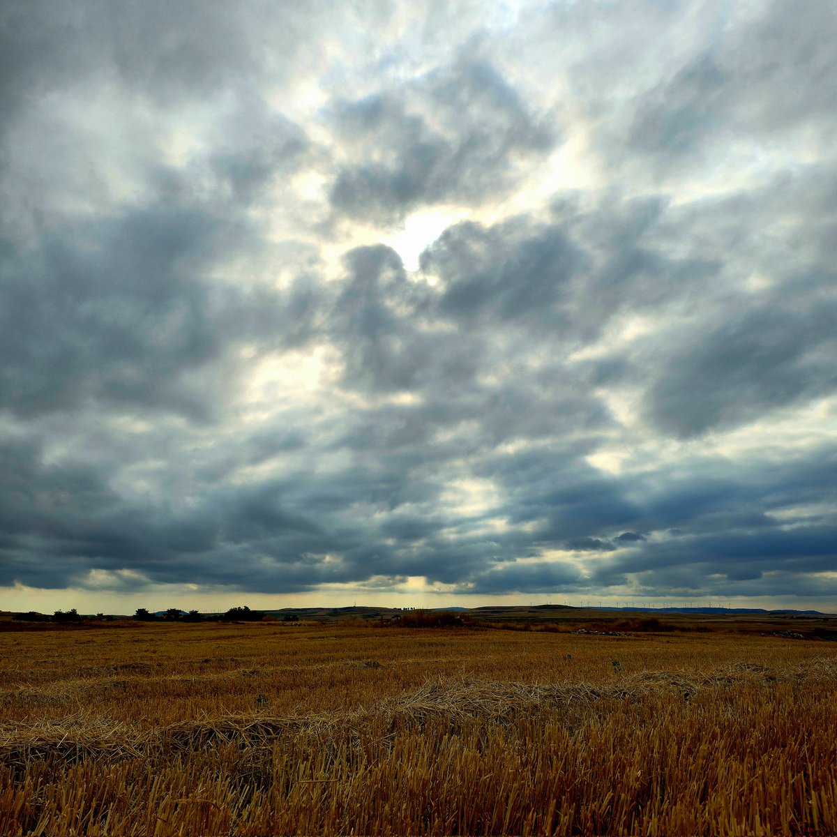 Pau #BonDia #Burgos #CastillayLeón