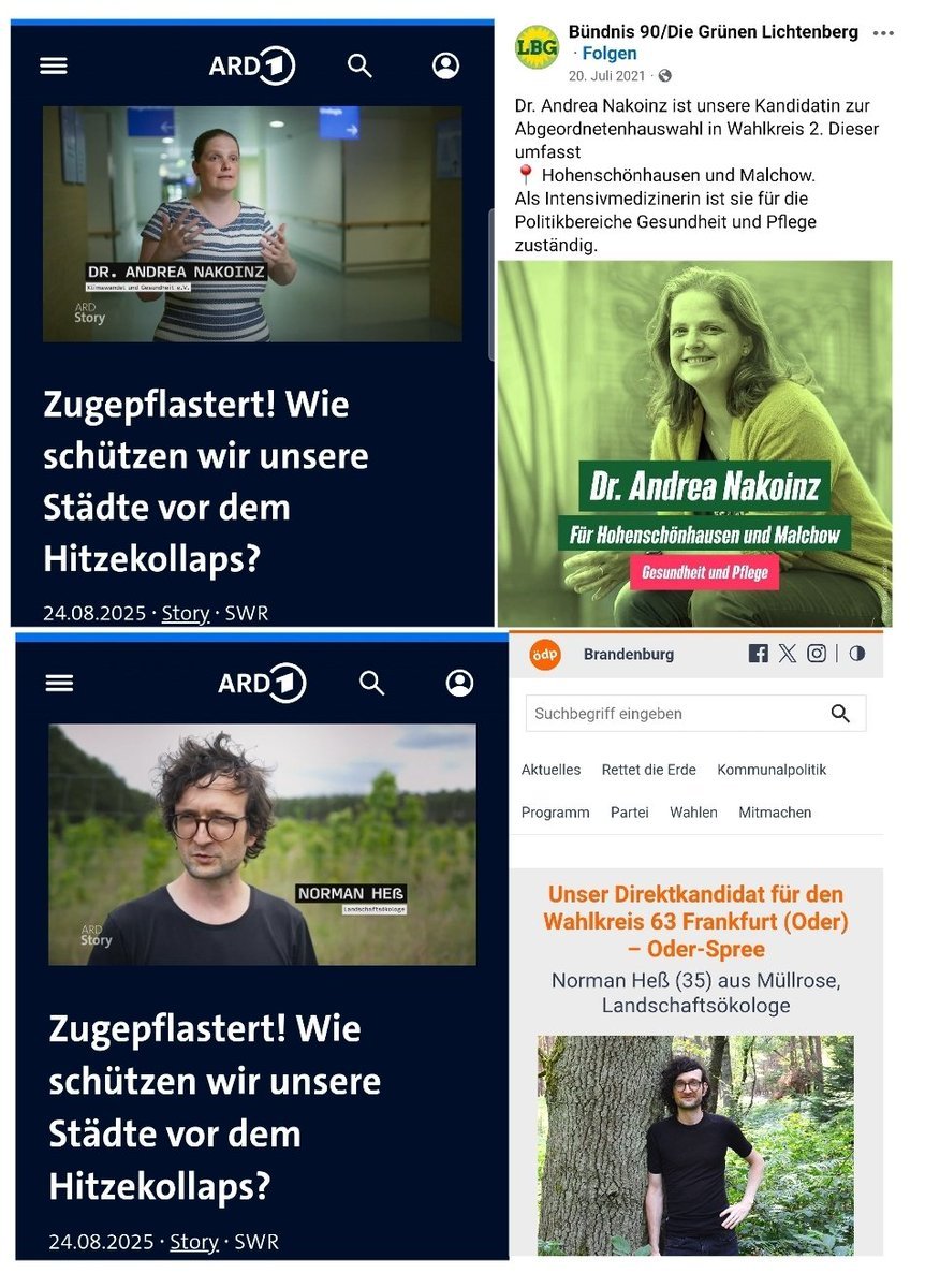 In der ARD Doku "Wie schützen wir unsere Städte vor dem Hitzekollaps?" werden 2 Experten interviewt....