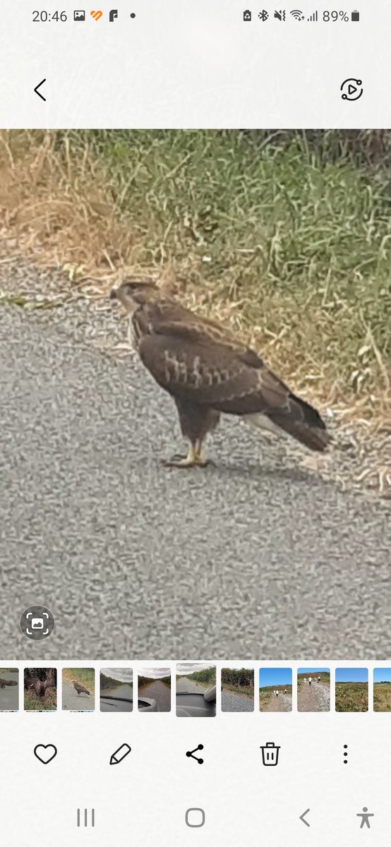 Jackie Baker tweet media