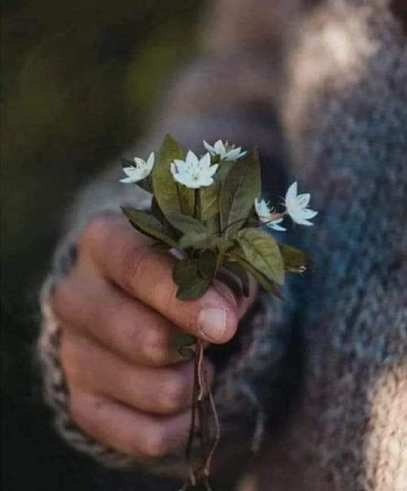 O kadar güzel unutmuşsun ki beni, 
hatırlatmaya kıyamadım...

|| Cemal Süreya