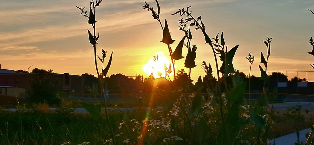 jacquesLeStrap1's tweet image. Deflection needed for the glare of the #Sun 
#Sunset #keepitsmooth