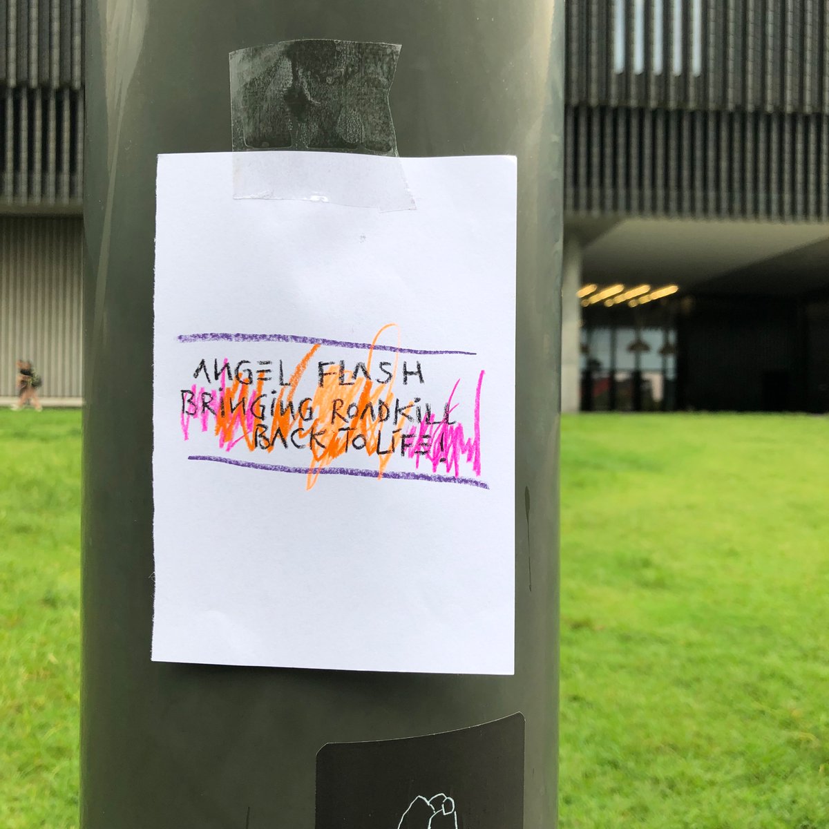 Angel flash
Bringing road kill back to life!