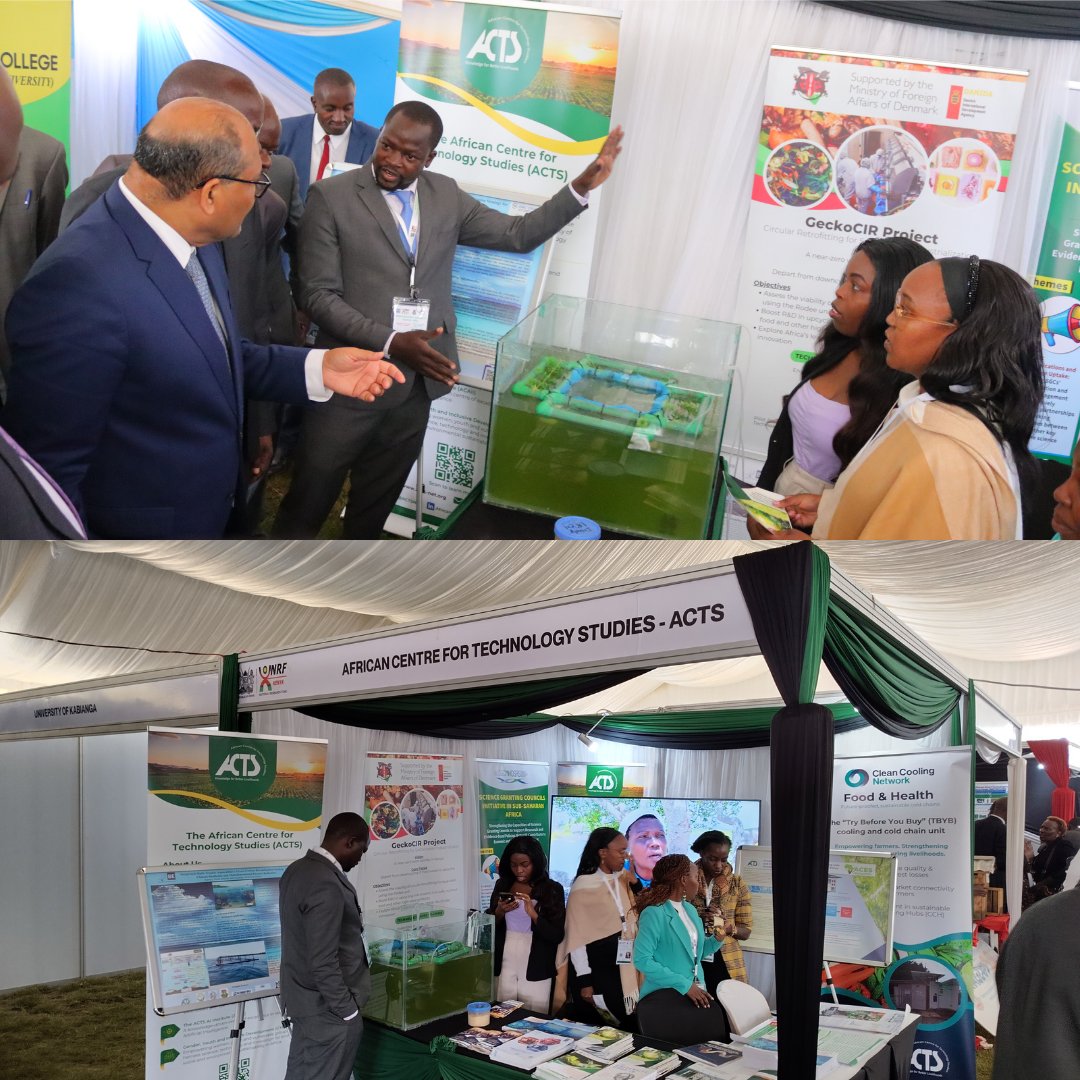 ACTSNET's tweet photo. Yesterday, we joined fellow innovators and researchers at the Kenya National Research Festival 2025 to showcase our commitment to advancing research-led innovations and technologies that impact grassroots communities, strengthen agricultural value chains, and drive inclusive economic growth — in line with the SDGs, African Agenda 2063, Vision 2030, and Kenya’s Bottom-Up Economic Transformation Agenda (BETA).

At our exhibition booth, visitors experienced:
➡️ A live demo aquarium with fingerlings from the Blue Empowerment Project – a low-carbon, gender-transformative initiative empowering fisherwomen in coastal Kenya through climate-smart integrated multi-trophic aquaculture (IMTA). 🐟 🪸
➡️ Research posters from the ACES/SPOKE Project on sustainable cold chain investments in horticultural value chains in Kiambu County. ❄️ 🥕
➡️ A poster from the #VALORISEProject, exploring innovative ways of using cheese whey to produce lysine-enhanced single-cell protein for animal feed.🧀 🥛 ♻️
➡️ Insights into the ACTS Pathways Academy (the ACTS Sustainability Fellowships Programme). 🧑‍🏫 🎓

📷 Highlight of the day: Our Research Fellow, Victor Omondi, gave a live demo of the "blue empowerment aquarium" with fingerlings, showing how it works to @Profshaukat, Principal Secretary, State Department for Science, Research & Innovation, @EduMinKenya, alongside other distinguished guests.

Stay tuned as other ACTS experts will make key contributions to the knowledge sessions today:

🔹9.00 am – 11.00 am: Dr. Benard Mucholwa Simiyu will deliver a keynote during a session on Building resilience to changing weather conditions through climate-smart agriculture.

🔹2.00 pm – 4.00 pm: Dr. Catherine. W. Kilelu, our Director of Communication, Outreach & Partnerships, will share insights as a panelist on a session about strengthening food systems for improved productivity, diversity, quality, and nutrition.

We look forward to an exciting week of engagements, innovations, and partnerships at #kNRF2025. Visit our booth to explore the full scope of ACTS’s research and impact.

@nrfkenya | @egertonunikenya | @NakuruCountyGov | @cleancoolingorg | @IDRC_CRDI |#researchfordevelopment #BlueEconomy #ClimateSmartAgriculture #foodsystems #InnovationForImpact #sustainableagriculture #foodsecurity