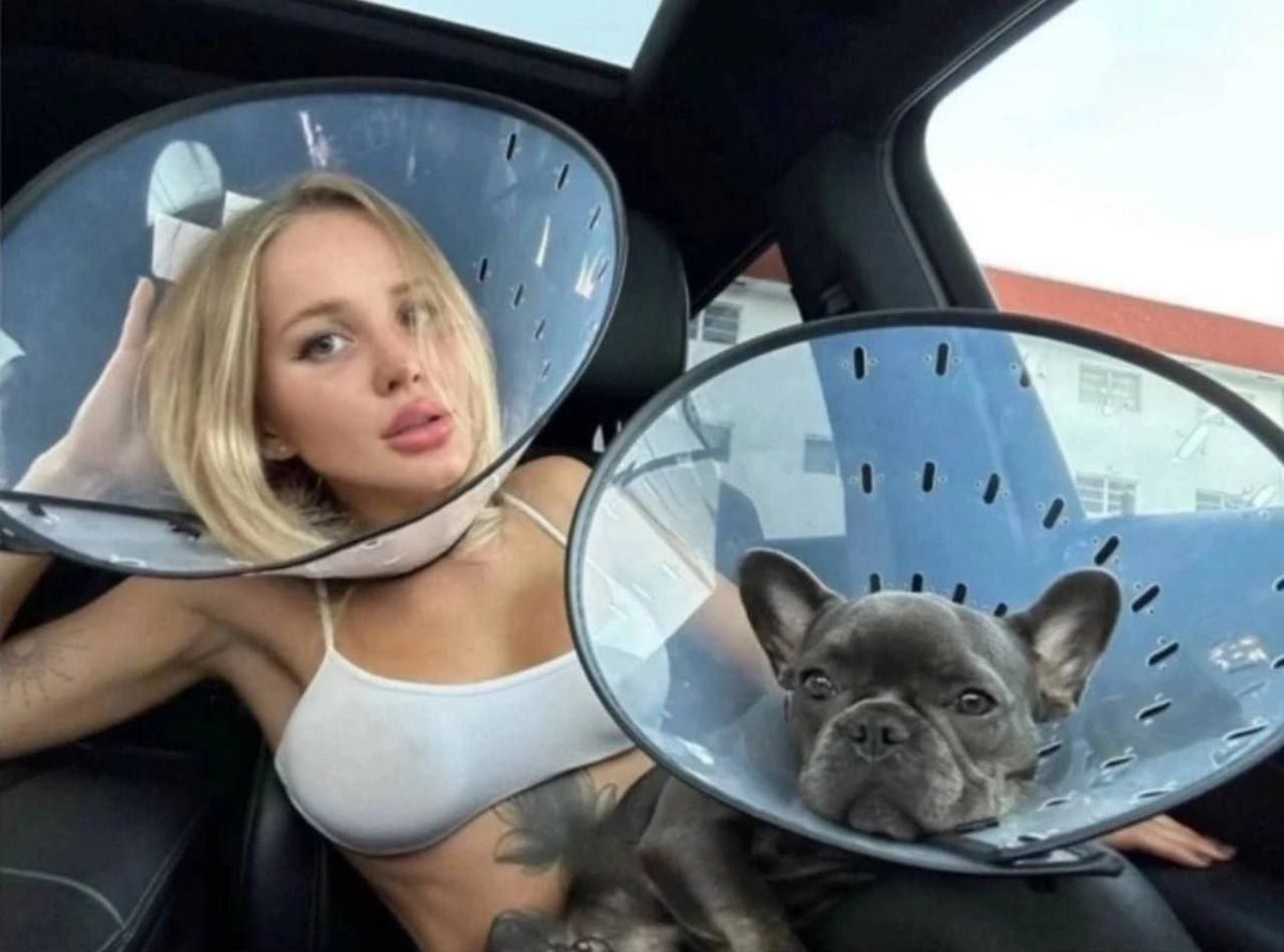 коли ти та твій пес люблять лизати яйця