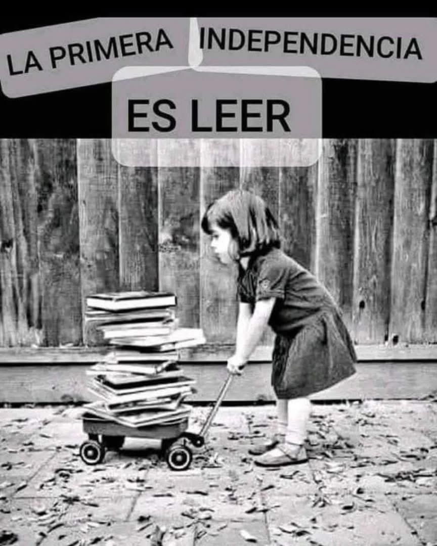 amorenloslibros's tweet photo. 📚📚📚 https://t.co/gxRzunOwaw