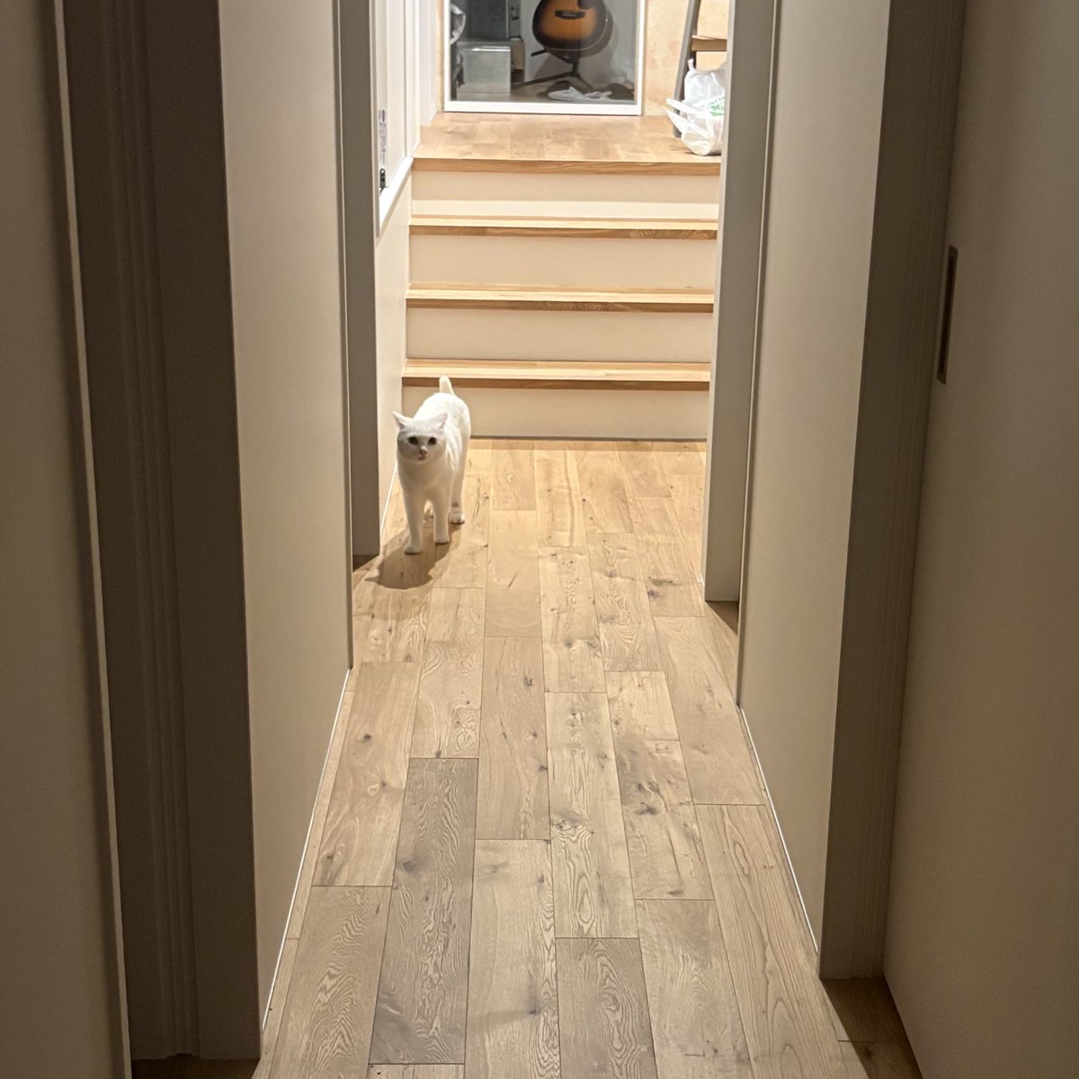 おやもち

ぽちぽち歩いててかわいいね