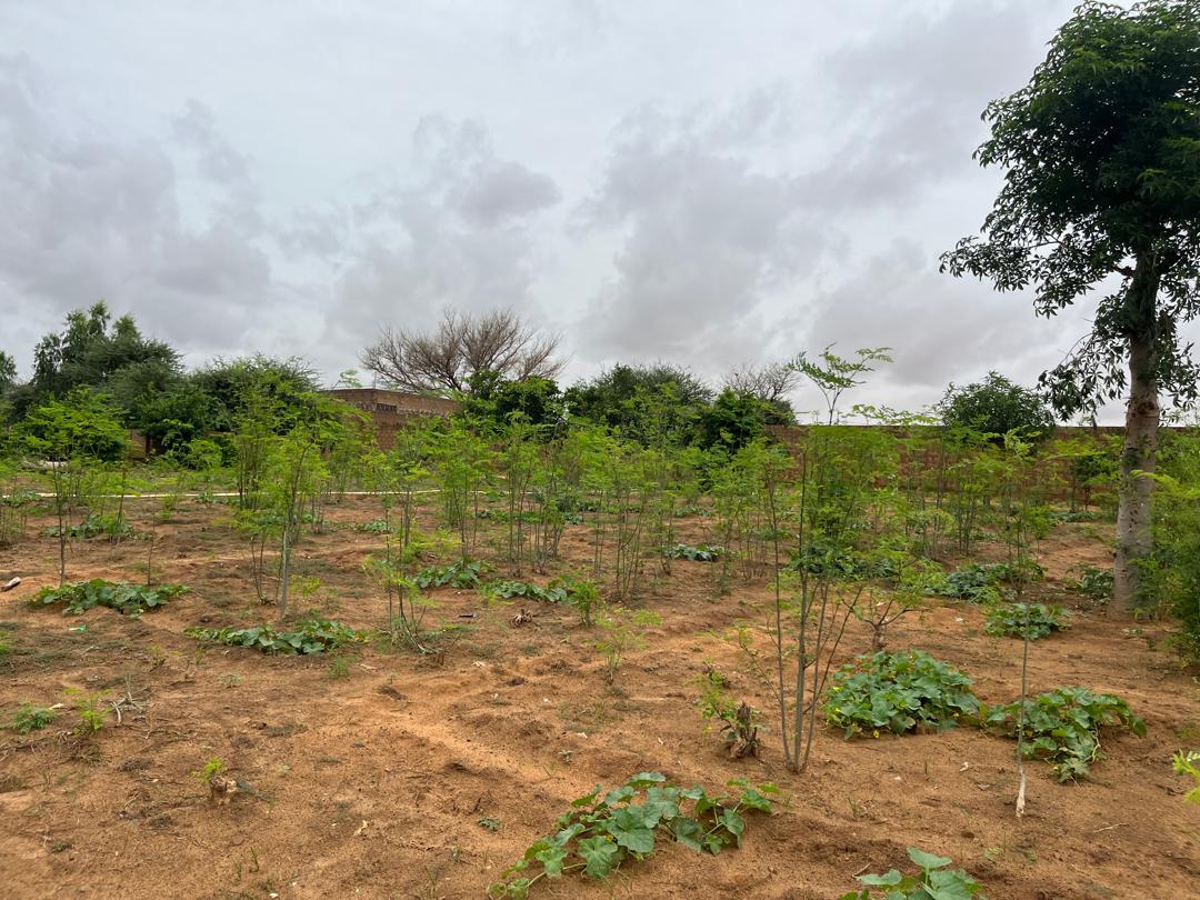 Cipmen's tweet image. #mardi_d_impact
🚀Suivi terrain chez RIM AGROBUSINESS de Ridouane Issoufou, bénéficiaire du projet #IDEEJeune 🌱. 
Un accompagnement pour renforcer son impact dans l’#AgroBusiness et soutenir l’#entrepreneuriat jeune 🚀.

#Jeunesse #Innovation #ImpactPositif🌱

OIM Niger
