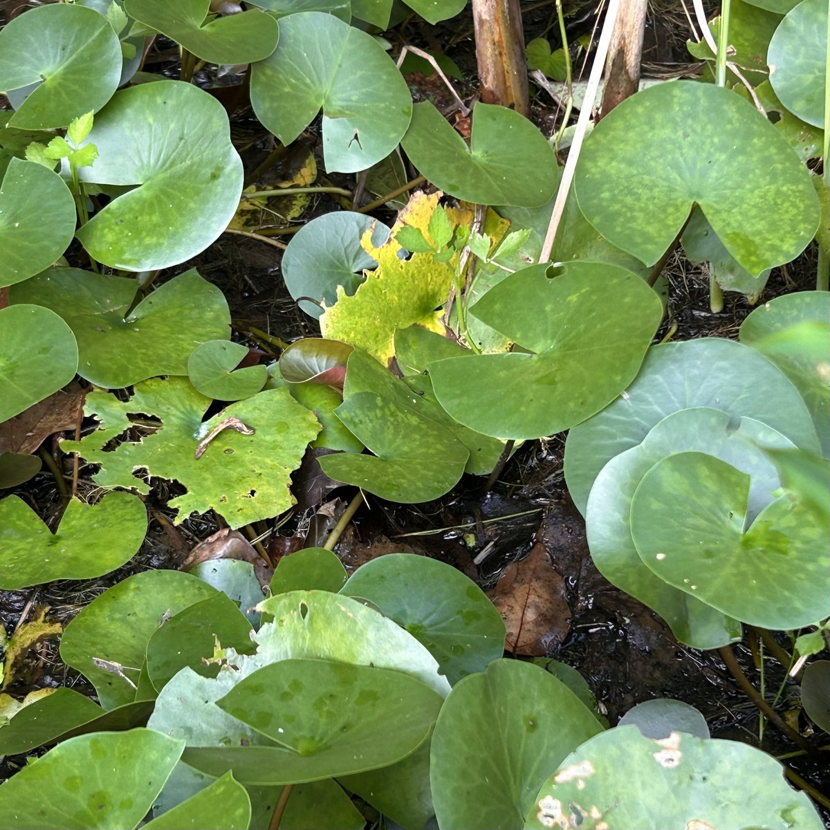 Found your Heaven? tweet media