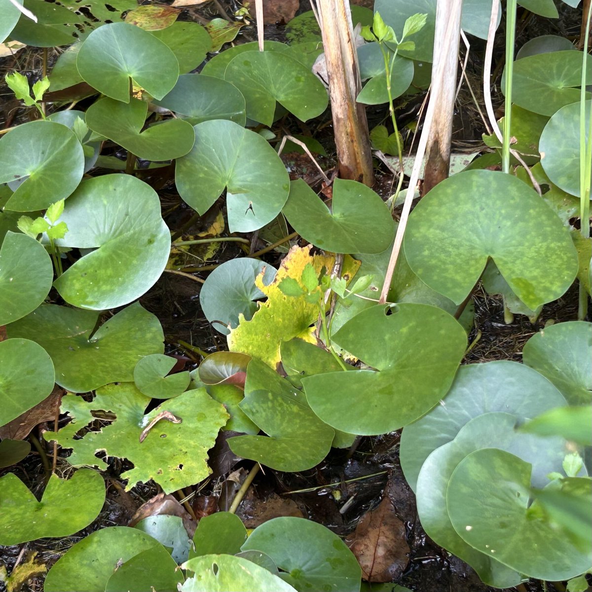 Found your Heaven? tweet media