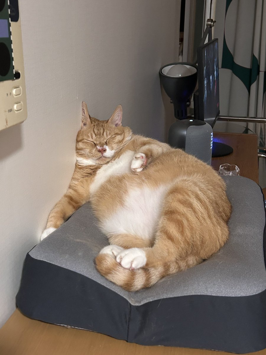 특기를 선보인다(맛있게 자기)