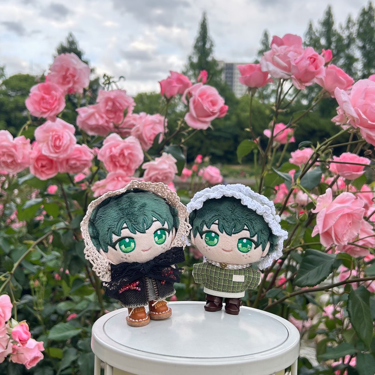 #知名度はないけど我が家の可愛いぬいちゃんを見てください 

🥦くん♡
FFさんに便乗させてもらいました🧸⋆꙳