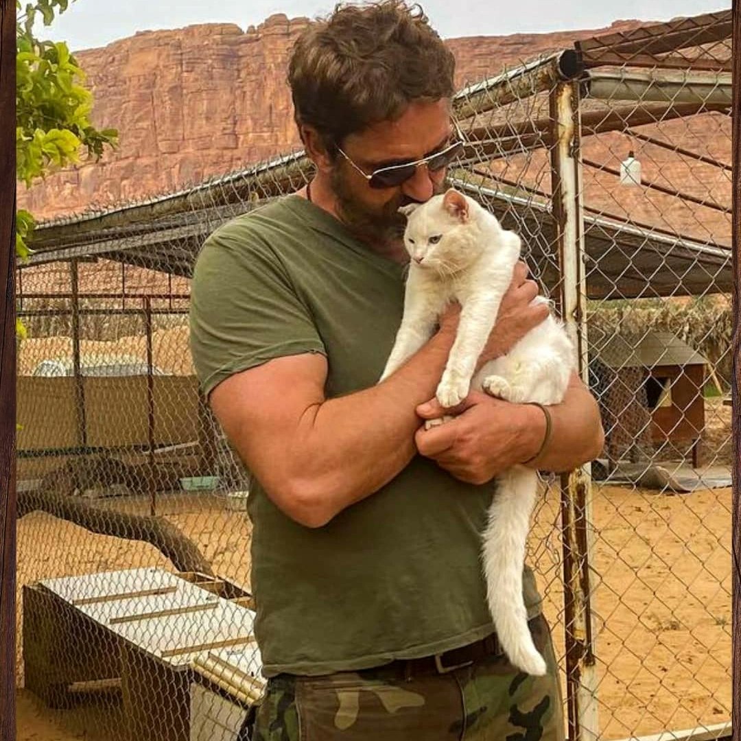 Gerard Butler tweet media