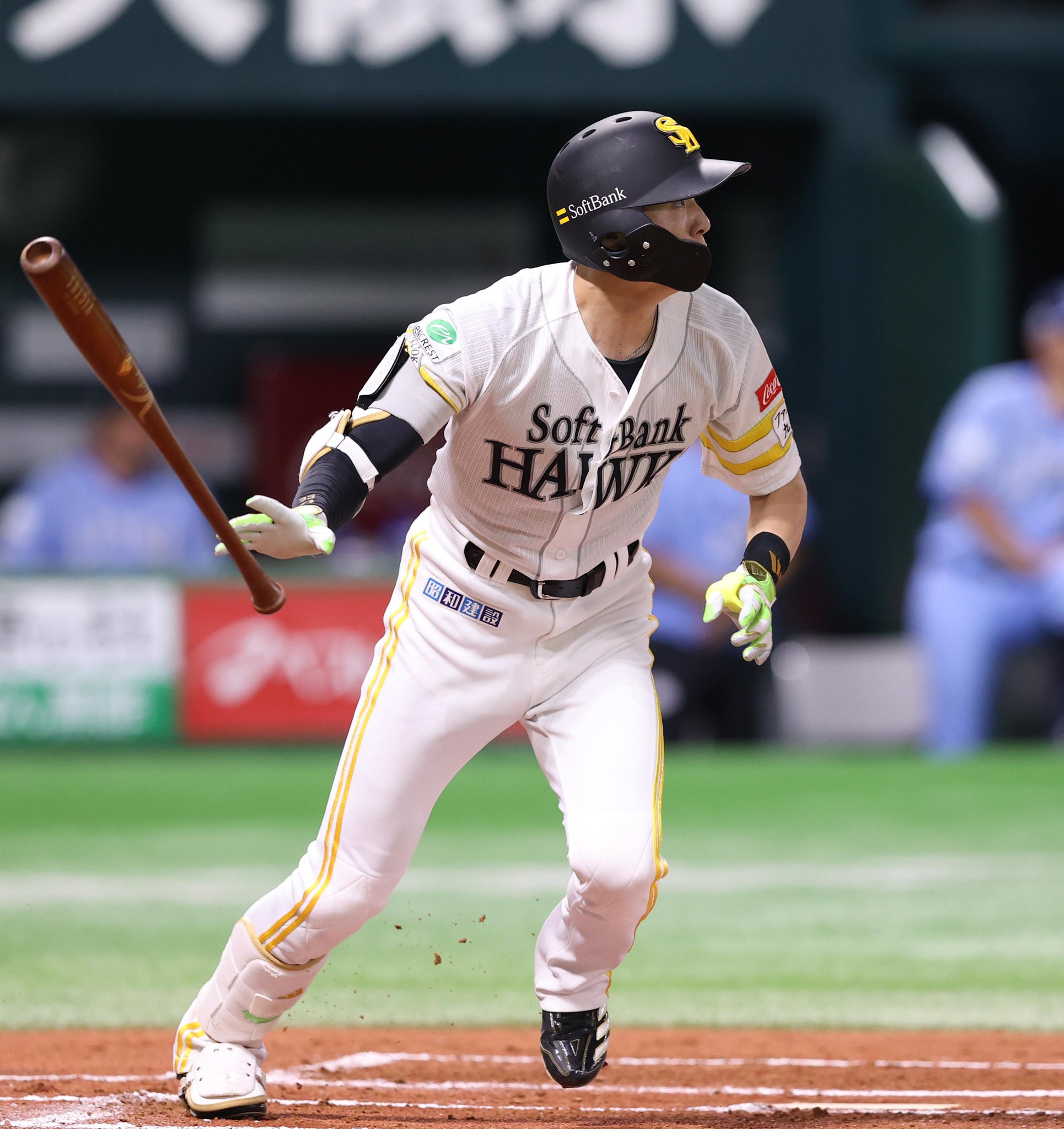 ホークス　SoftBank Hawks ジャンパー Sサイズ　ほぼ新品 福岡ソフトバンクホークス公式グッズアカウント on X