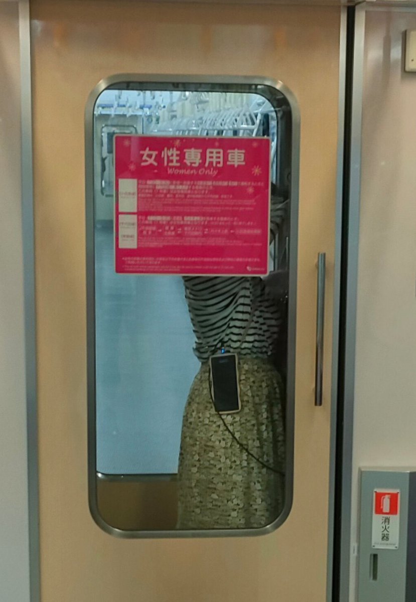 中村 叶芽(なかむら かなめ)
鶴川駅最寄りの23歳

・小田急の3082fの貫通路に居座って異常な執着を示している(伝説の3082fの妖精・妖怪)
・通ろうとする人を、引っ掻いたり、暴言を吐いたりしている
・車内でピクニックをしている
・8/16に東京駅に撮り鉄と喧嘩
・不正乗車で一日中、3082fに乗っている