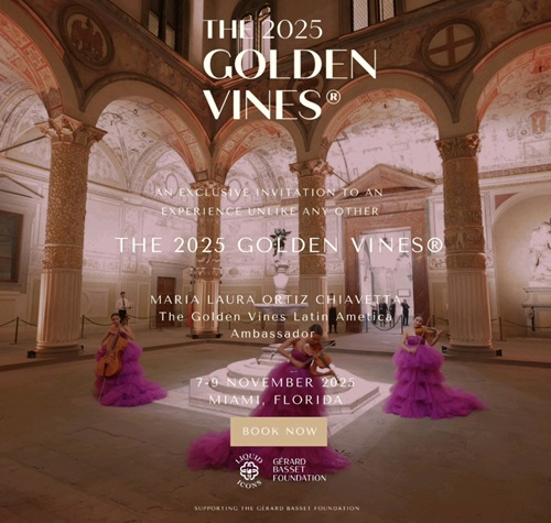 Punto Vid tweet media