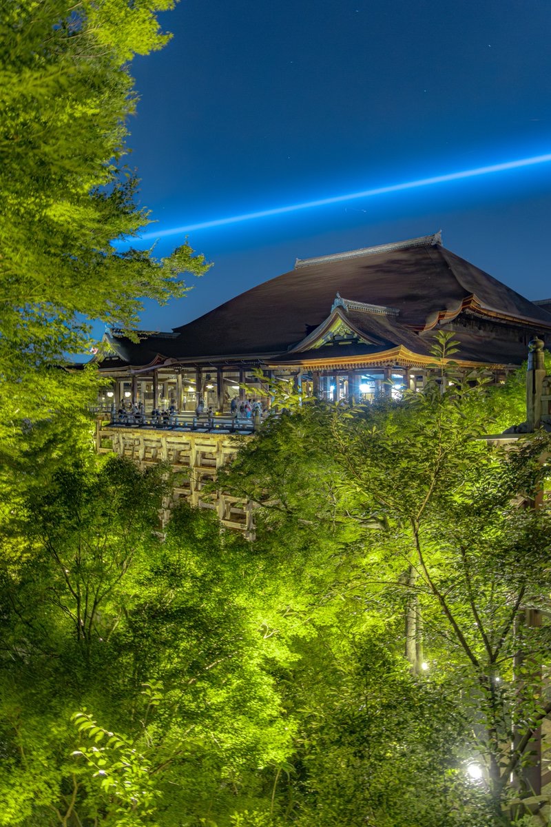 緑輝く清水寺のライトアップ