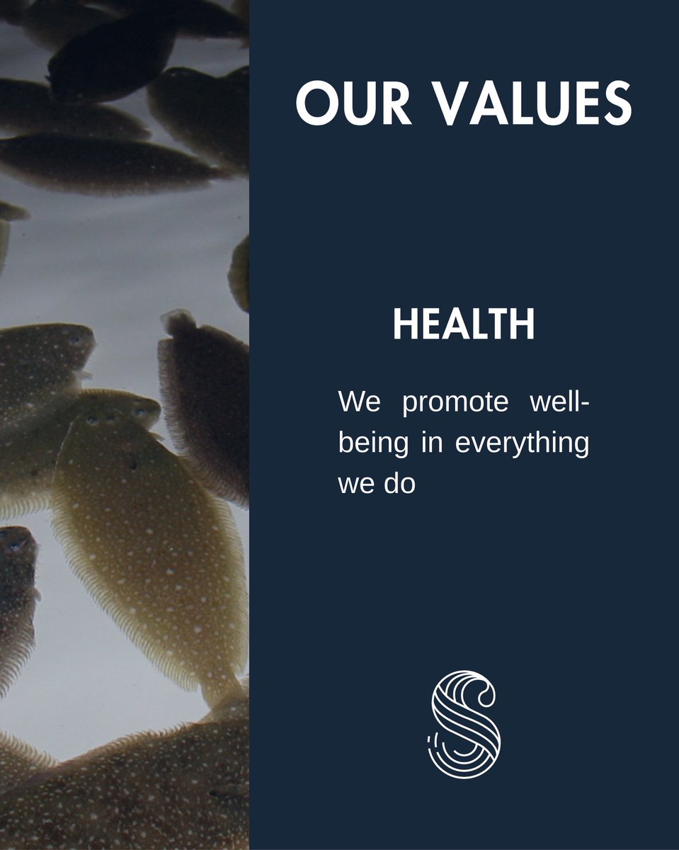 seaeightaqua's tweet image. Discover our values: Health 🐟

At Sea Eight, we promote well-being in everything we do — for people, fish, and the planet. Health is at the heart of our commitment to sustainable aquaculture and balanced ecosystems.

#WeAreSEAEIGHT #Health #CorporateValues #Aquaculture