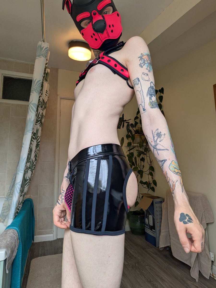 Love how shiny these look, and how they show both my bulge and butt, take your pick.

#pupplay #puppyplay #gaypup #ukpup