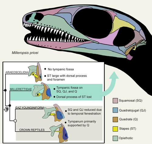 PCI Paleontology tweet media