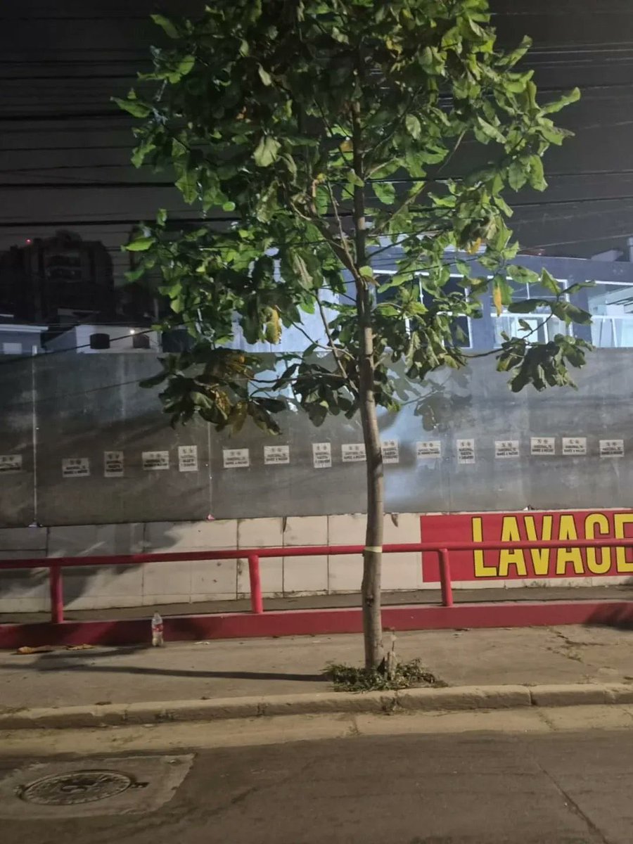 gpyfutbol's tweet photo. Clima de guerra contra los hinchas de Nacional en Sao Paulo https://t.co/s0XF5x5flC