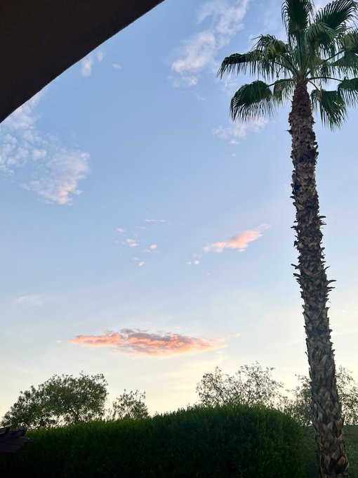 Watch Catalina Cruz™'s leaked NSFW photo on TwXstars