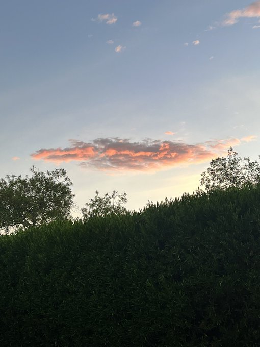 Watch Catalina Cruz™'s leaked NSFW photo on TwXstars