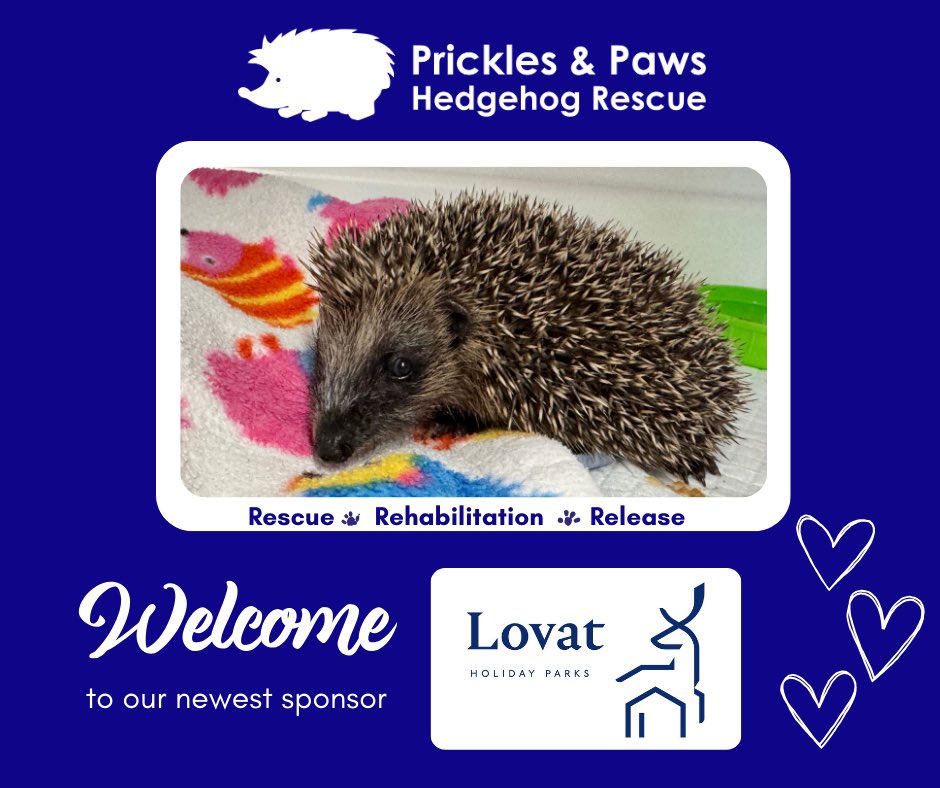Prickles_Paws's tweet image. 🌟Thrilled to welcome @LovatParks as a new sponsor of Prickles &amp;amp; Paws🌟

As a certified #BCorp, they balance profit with purpose – supporting people, wildlife &amp;amp; the planet 🦔💚

With their support, we can give more hedgehogs the second chance they deserve. 🌍✨