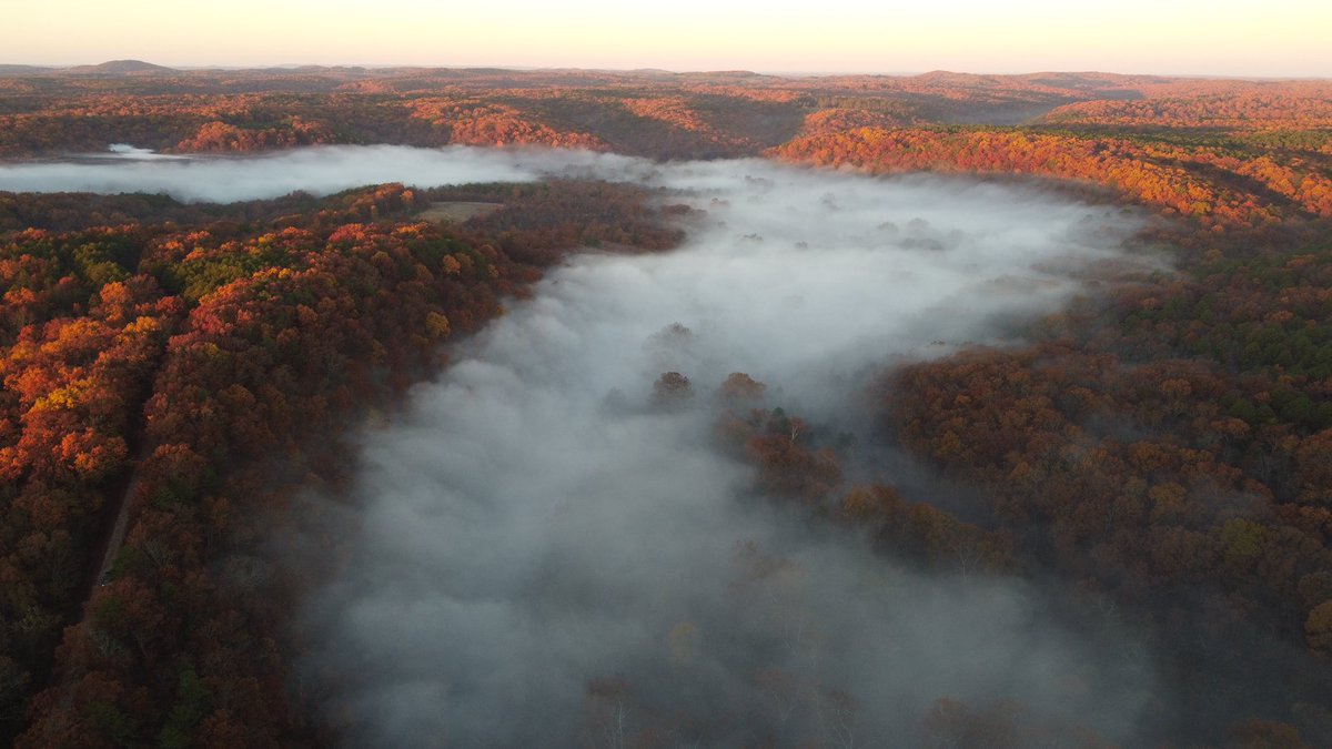 <a href="/CozomoMedici/">Cozomo de’ Medici</a> <a href="/rollbit/">Rollbit</a> GM☀️

"Backwoods Beauty" from Ozark Hills

The human spirit needs places where nature has not been rearranged by the hand of man

opensea.io/item/ethereum/…