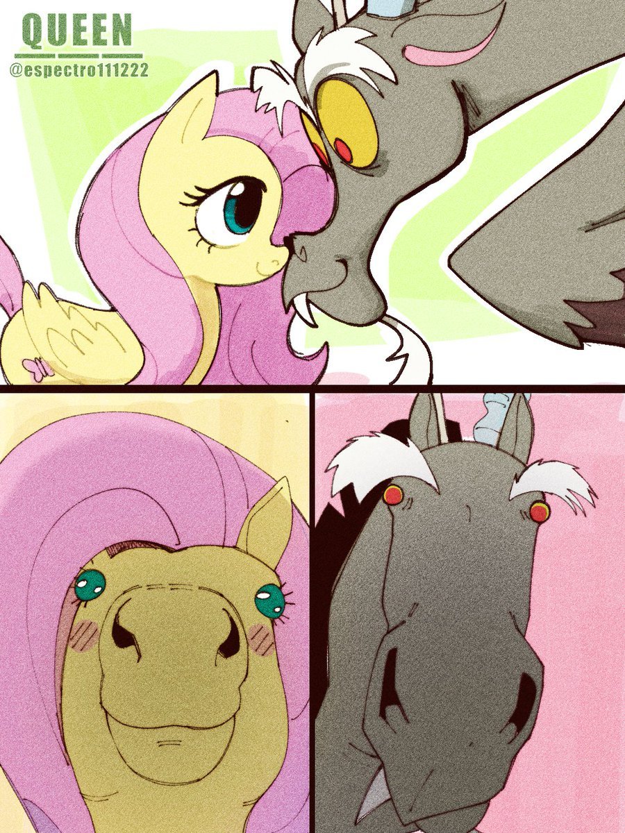 Fluttercord ❤️🐴
