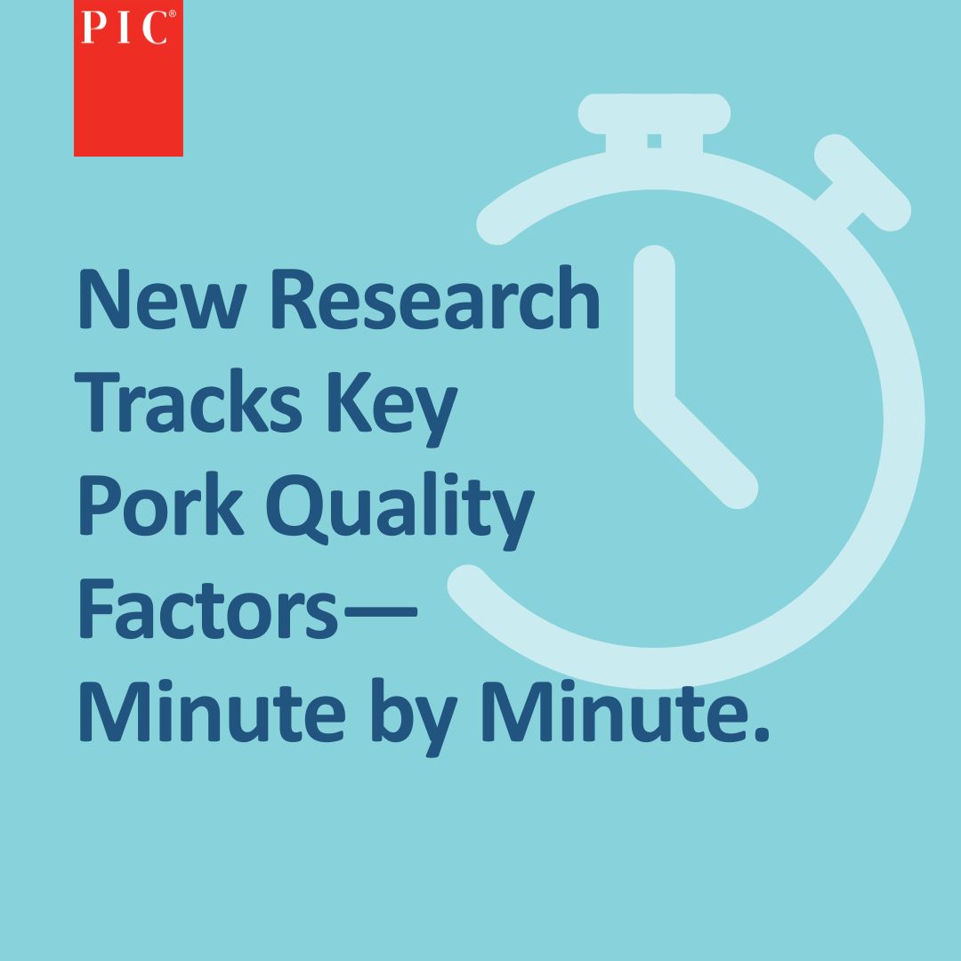 Every. 60. Seconds.
That’s how often we recorded data to dig into what drives better pork quality.
The findings open the door for commercial plants to pinpoint critical time points postmortem to produce higher quality pork.
Read the full study here: bit.ly/3HrL6Bx