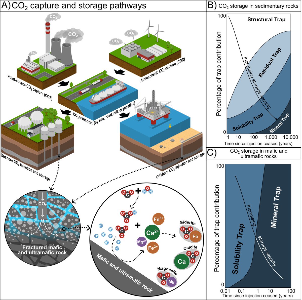 Conor O'Sullivan tweet media