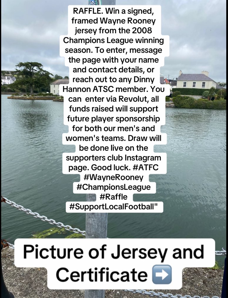 Dinny Hannon Supporters Club tweet media