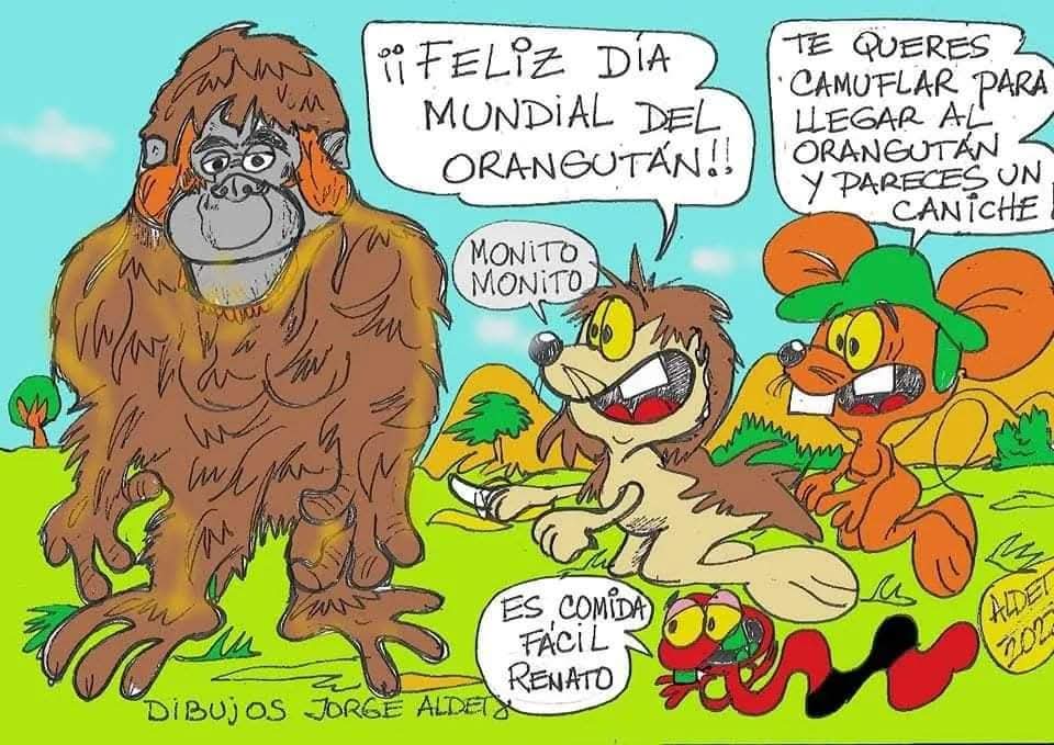 AGNoticiasOK's tweet photo. #AGNoticias https://t.co/e1gYJv60tH